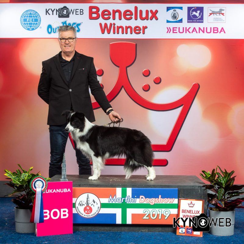 324 Benelux Winster 2019